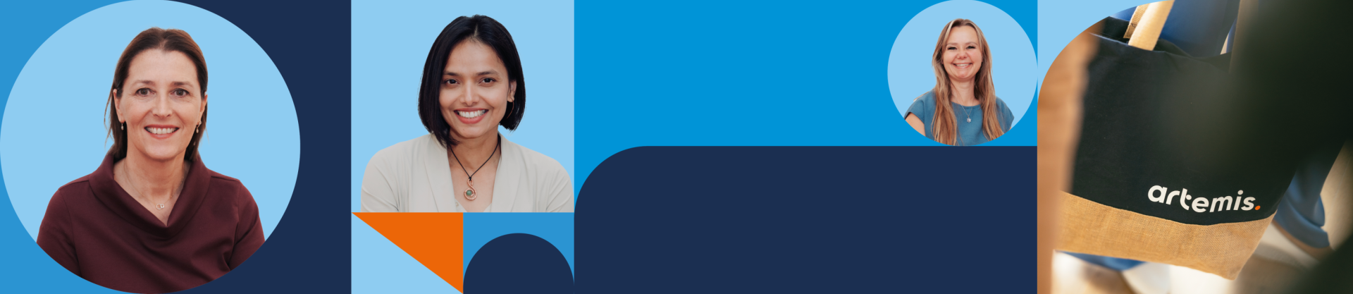 Artemis Artemis in je regio Vrouwennet netwerk regio community ondernemende vrouwen buurt Balk