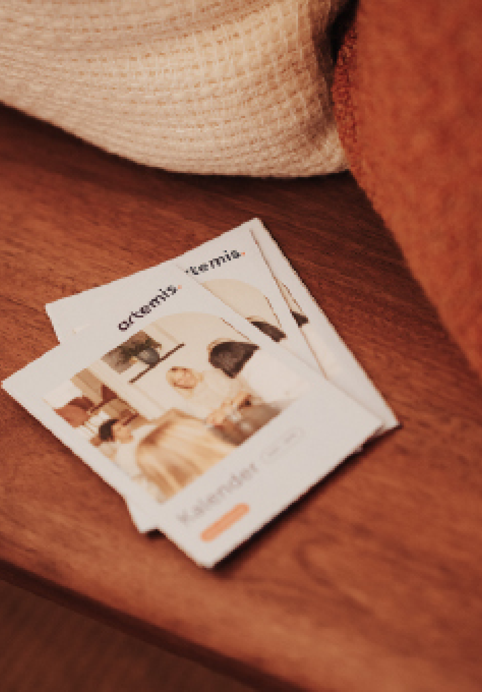 Artemis nieuws december 2025 activiteiten lezingen bedrijfsbezoeken netwerkdiners workshops speeddate sessies portret kalender